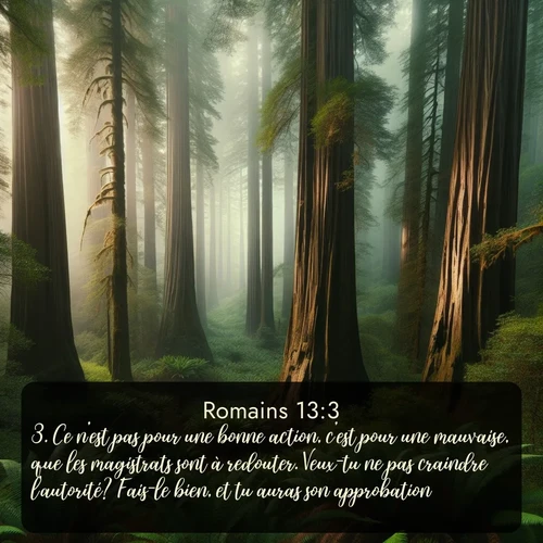 Segond Romains  ; image nature: image avec le verset biblique :Ce n&#039;est pas pour une bonne action, c&#039;est pour une mauvaise, que les magistrats sont à redouter. Veux-tu ne pas craindre l&#039;autorité? Fais-le bien, et tu auras son approbation. ;  ; 13:3