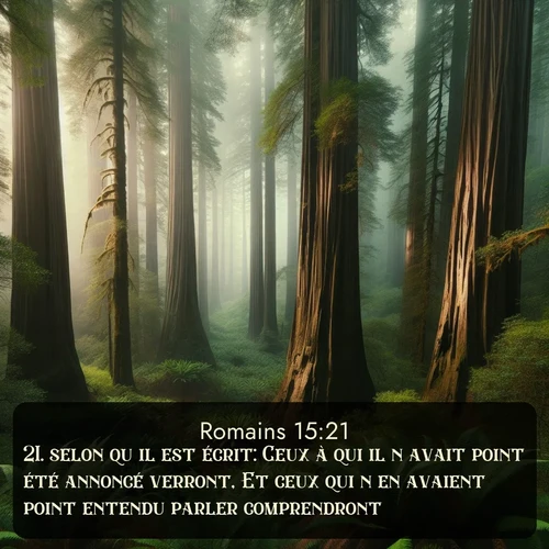 Segond Romains  ; image nature: image avec le verset biblique :selon qu&#039;il est écrit: Ceux à qui il n&#039;avait point été annoncé verront, Et ceux qui n&#039;en avaient point entendu parler comprendront. ;  ; 15:21