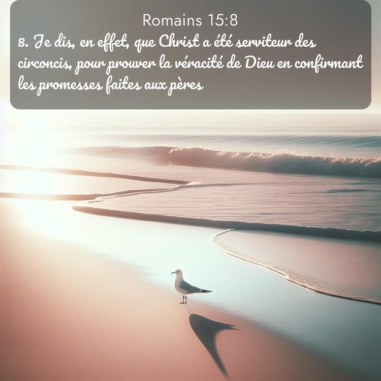 Segond Romains 15:8