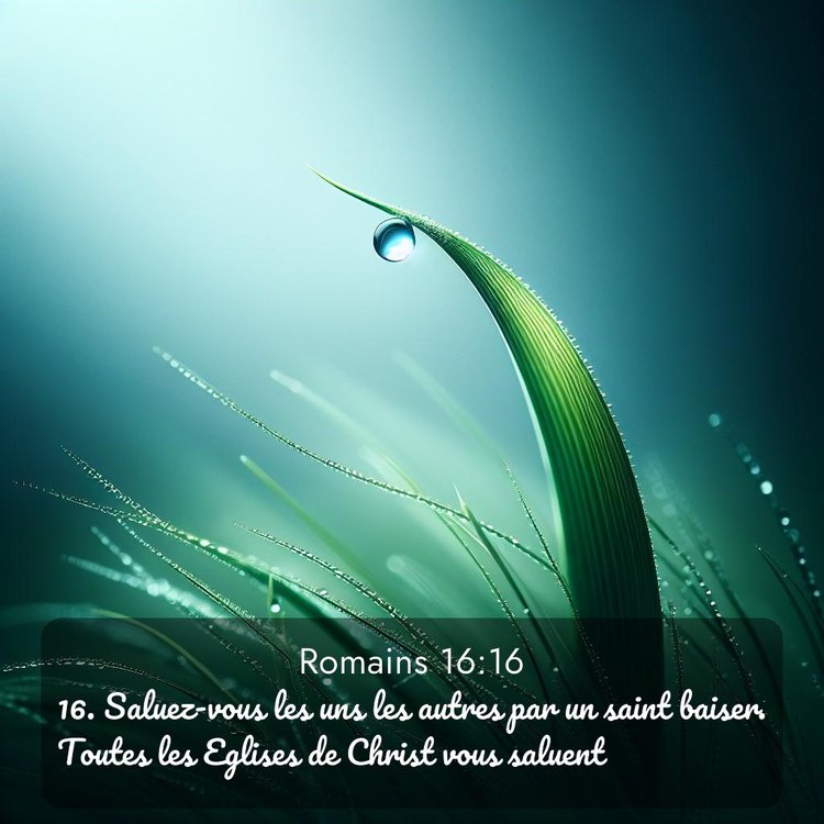 Segond Romains 16:16