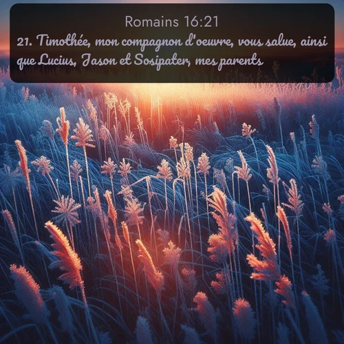 Segond Romains  ; image nature: image avec le verset biblique :Timothée, mon compagnon d&#039;oeuvre, vous salue, ainsi que Lucius, Jason et Sosipater, mes parents. ;  ; 16:21