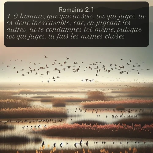 Segond Romains  ; image nature: image avec le verset biblique :O homme, qui que tu sois, toi qui juges, tu es donc inexcusable; car, en jugeant les autres, tu te condamnes toi-même, puisque toi qui juges, tu fais les mêmes choses. ;  ; 2:1