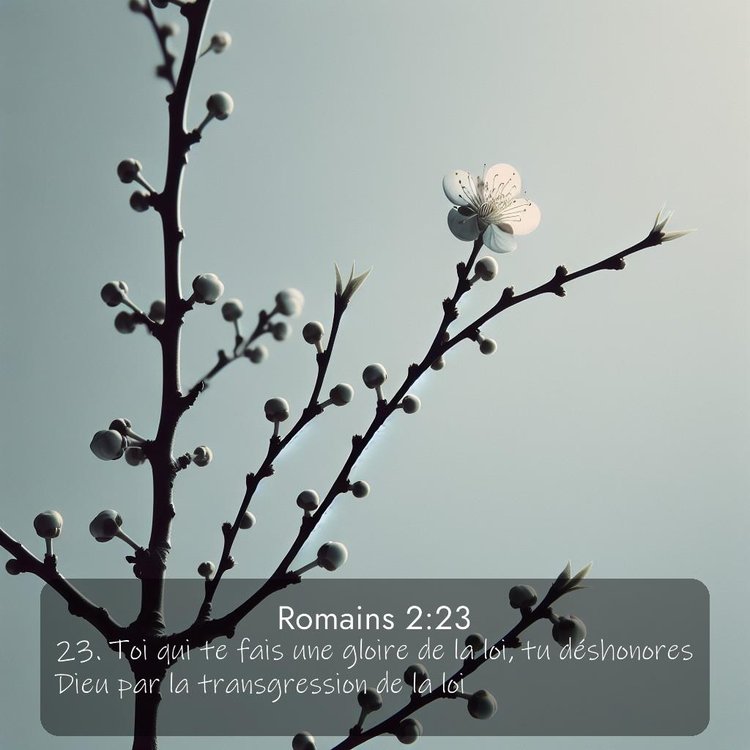 image nature avec verset biblique de la Bible