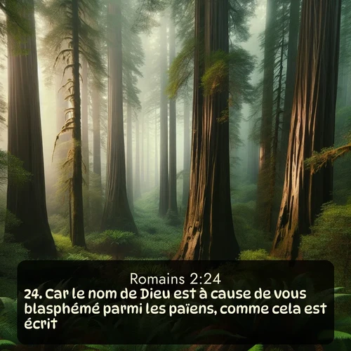 Segond Romains  ; image nature: image avec le verset biblique :Car le nom de Dieu est à cause de vous blasphémé parmi les païens, comme cela est écrit. ;  ; 2:24