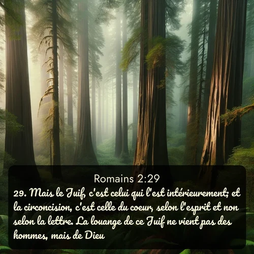 Segond Romains  ; image nature: image avec le verset biblique :Mais le Juif, c&#039;est celui qui l&#039;est intérieurement; et la circoncision, c&#039;est celle du coeur, selon l&#039;esprit et non selon la lettre. La louange de ce Juif ne vient pas des hommes, mais de Dieu. ;  ; 2:29