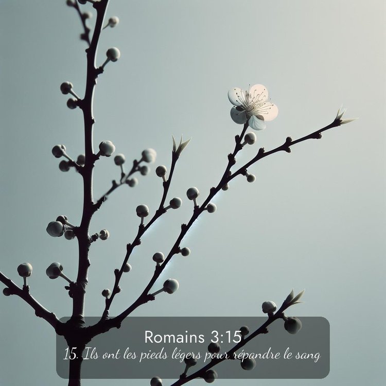 image nature avec verset biblique de la Bible