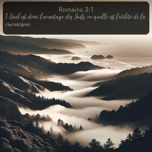 Segond Romains  ; image nature: image avec le verset biblique :Quel est donc l&#039;avantage des Juifs, ou quelle est l&#039;utilité de la circoncision? ;  ; 3:1