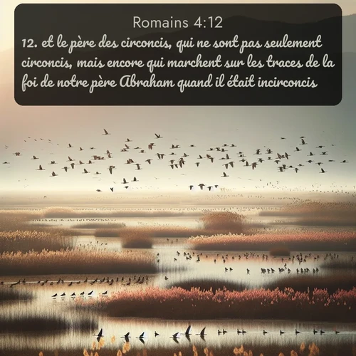 Segond Romains  ; image nature: image avec le verset biblique :et le père des circoncis, qui ne sont pas seulement circoncis, mais encore qui marchent sur les traces de la foi de notre père Abraham quand il était incirconcis. ;  ; 4:12