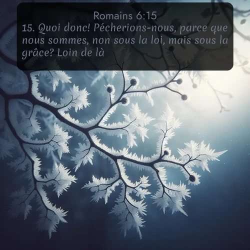 Segond Romains  ; image nature: image avec le verset biblique :Quoi donc! Pécherions-nous, parce que nous sommes, non sous la loi, mais sous la grâce? Loin de là! ;  ; 6:15