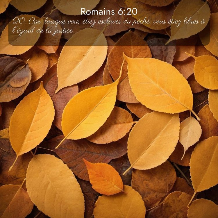 image nature avec verset biblique de la Bible