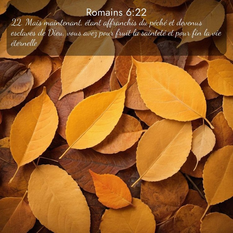 image nature avec verset biblique de la Bible