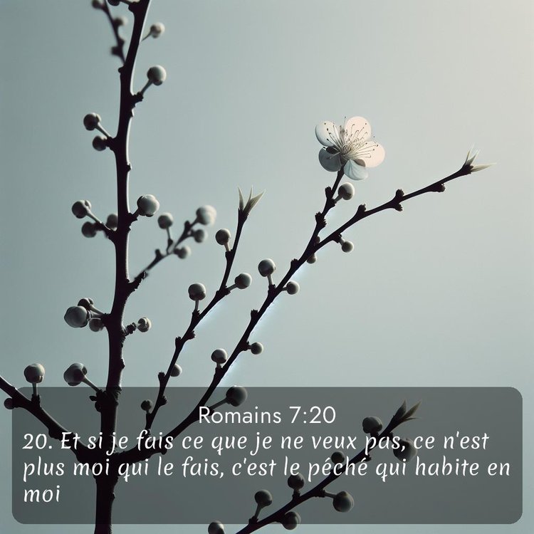 image nature avec verset biblique de la Bible