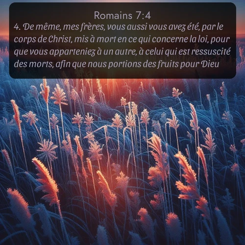 Segond Romains  ; image nature: image avec le verset biblique :De même, mes frères, vous aussi vous avez été, par le corps de Christ, mis à mort en ce qui concerne la loi, pour que vous apparteniez à un autre, à celui qui est ressuscité des morts, afin que nous portions des fruits pour Dieu. ;  ; 7:4