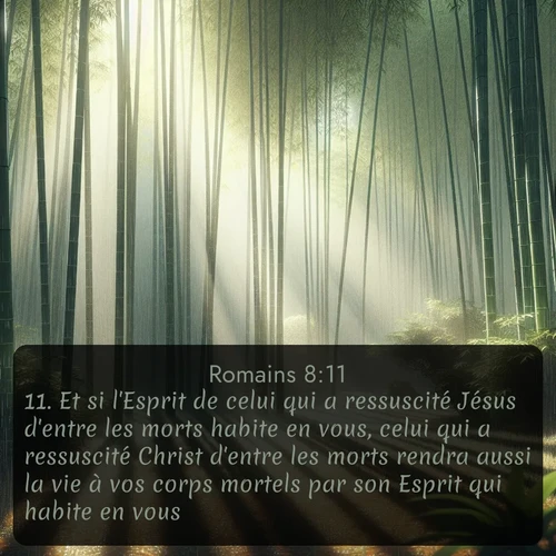 Segond Romains  ; image nature: image avec le verset biblique :Et si l&#039;Esprit de celui qui a ressuscité Jésus d&#039;entre les morts habite en vous, celui qui a ressuscité Christ d&#039;entre les morts rendra aussi la vie à vos corps mortels par son Esprit qui habite en vous. ;  ; 8:11