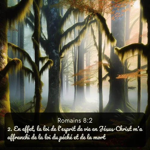 Segond Romains  ; image nature: image avec le verset biblique :En effet, la loi de l&#039;esprit de vie en Jésus-Christ m&#039;a affranchi de la loi du péché et de la mort. ;  ; 8:2