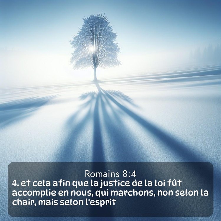 Segond Romains 8:4