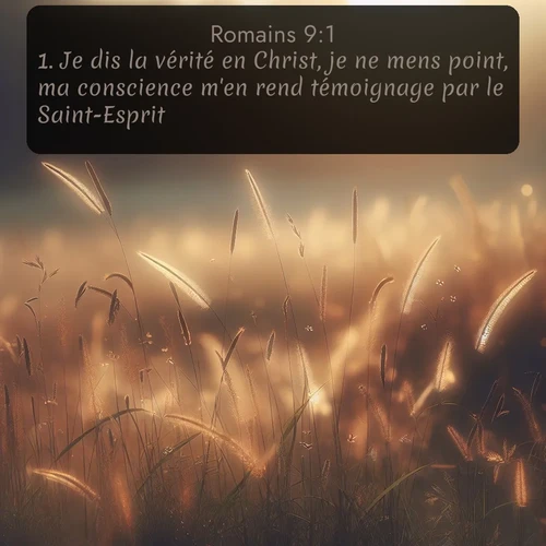 Segond Romains  ; image nature: image avec le verset biblique :Je dis la vérité en Christ, je ne mens point, ma conscience m&#039;en rend témoignage par le Saint-Esprit: ;  ; 9:1