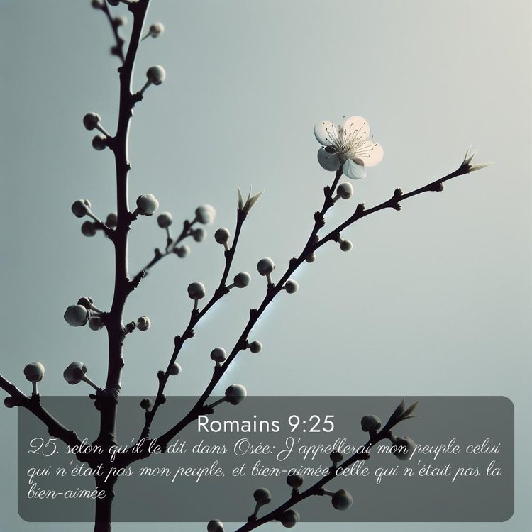 image nature avec verset biblique de la Bible