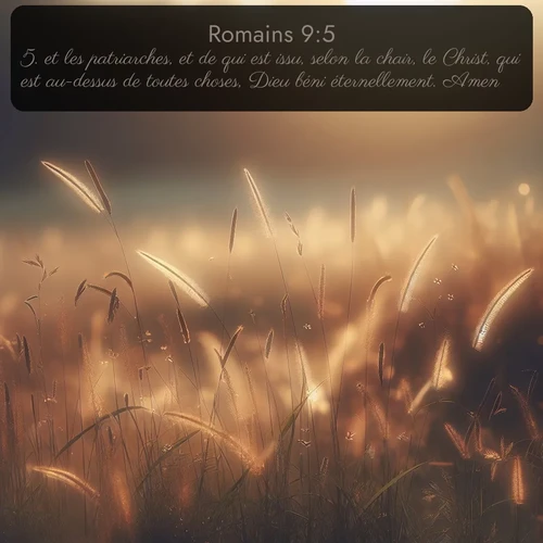 Segond Romains  ; image nature: image avec le verset biblique :et les patriarches, et de qui est issu, selon la chair, le Christ, qui est au-dessus de toutes choses, Dieu béni éternellement. Amen! ;  ; 9:5