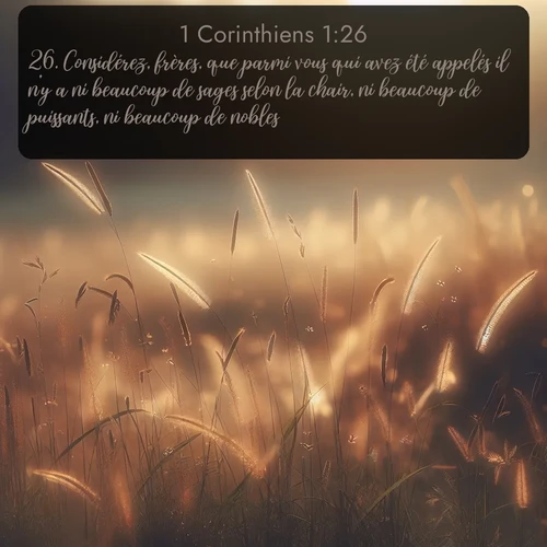 Segond 1 Corinthiens  ; image nature: image avec le verset biblique :Considérez, frères, que parmi vous qui avez été appelés il n&#039;y a ni beaucoup de sages selon la chair, ni beaucoup de puissants, ni beaucoup de nobles. ;  ; 1:26