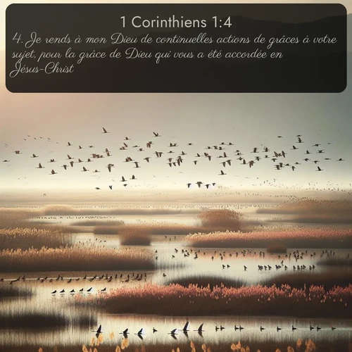 Segond 1 Corinthiens  ; image nature: image avec le verset biblique :Je rends à mon Dieu de continuelles actions de grâces à votre sujet, pour la grâce de Dieu qui vous a été accordée en Jésus-Christ. ;  ; 1:4