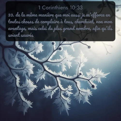 Segond 1 Corinthiens  ; image nature: image avec le verset biblique :de la même manière que moi aussi je m&#039;efforce en toutes choses de complaire à tous, cherchant, non mon avantage, mais celui du plus grand nombre, afin qu&#039;ils soient sauvés. ;  ; 10:33