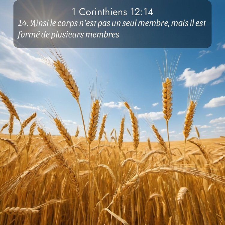 image nature avec verset biblique de la Bible