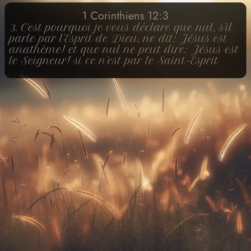 Segond 1 Corinthiens  ; image nature: image avec le verset biblique :C&#039;est pourquoi je vous déclare que nul, s&#039;il parle par l&#039;Esprit de Dieu, ne dit: Jésus est anathème! et que nul ne peut dire: Jésus est le Seigneur! si ce n&#039;est par le Saint-Esprit. ;  ; 12:3