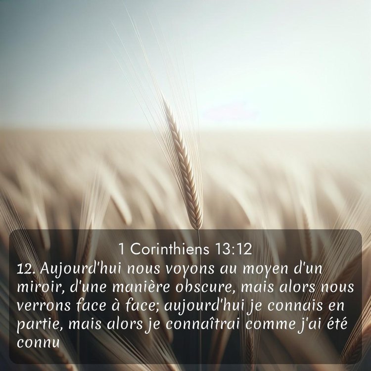 Segond 1 Corinthiens 13:12