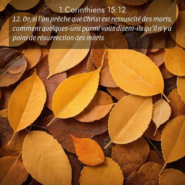 Segond 1 Corinthiens 15:12