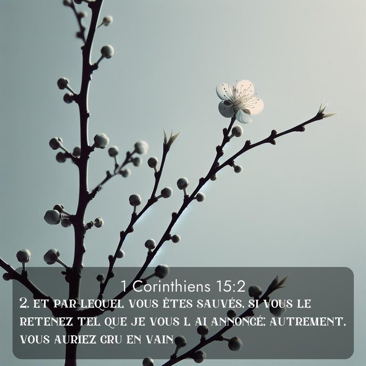 image nature avec verset biblique de la Bible
