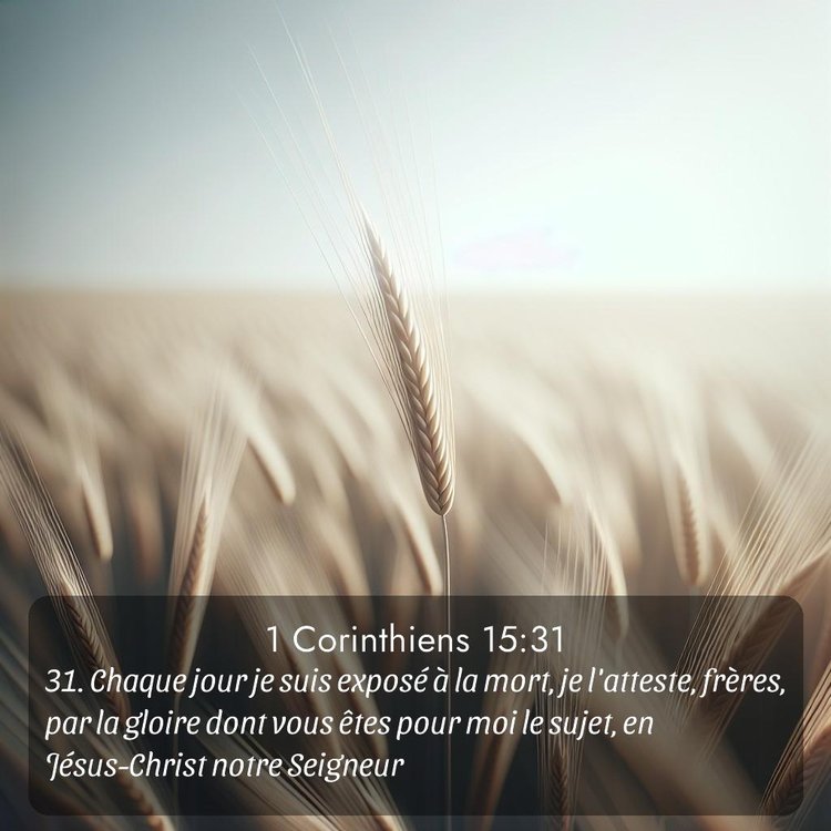 image nature avec verset biblique de la Bible