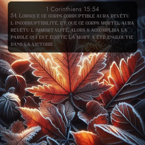 Segond 1 Corinthiens  ; image nature: image avec le verset biblique :Lorsque ce corps corruptible aura revêtu l&#039;incorruptibilité, et que ce corps mortel aura revêtu l&#039;immortalité, alors s&#039;accomplira la parole qui est écrite: La mort a été engloutie dans la victoire. ;  ; 15:54