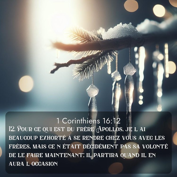 Segond 1 Corinthiens 16:12