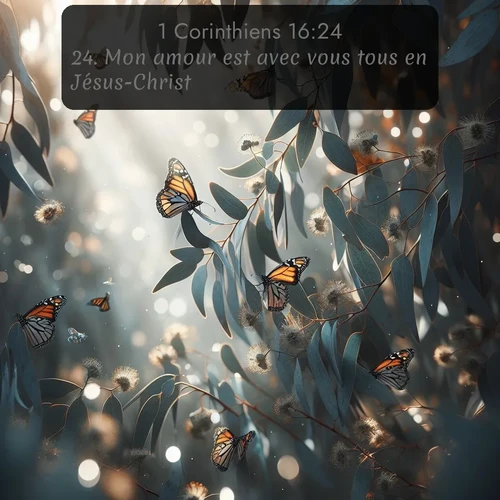 Segond 1 Corinthiens  ; image nature: image avec le verset biblique :Mon amour est avec vous tous en Jésus-Christ. ;  ; 16:24