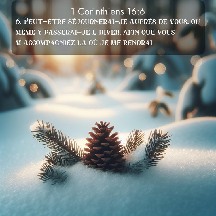 Segond 1 Corinthiens 16:6