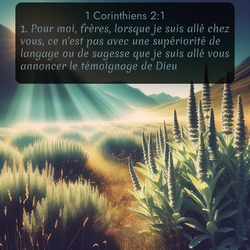Segond 1 Corinthiens  ; image nature: image avec le verset biblique :Pour moi, frères, lorsque je suis allé chez vous, ce n&#039;est pas avec une supériorité de langage ou de sagesse que je suis allé vous annoncer le témoignage de Dieu. ;  ; 2:1