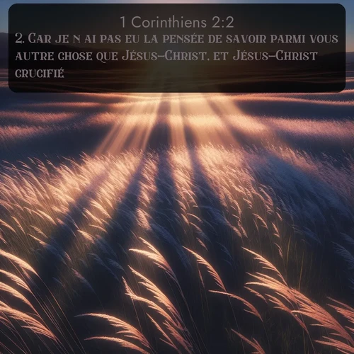 Segond 1 Corinthiens  ; image nature: image avec le verset biblique :Car je n&#039;ai pas eu la pensée de savoir parmi vous autre chose que Jésus-Christ, et Jésus-Christ crucifié. ;  ; 2:2