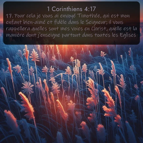 Segond 1 Corinthiens  ; image nature: image avec le verset biblique :Pour cela je vous ai envoyé Timothée, qui est mon enfant bien-aimé et fidèle dans le Seigneur; il vous rappellera quelles sont mes voies en Christ, quelle est la manière dont j&#039;enseigne partout dans toutes les Eglises. ;  ; 4:17