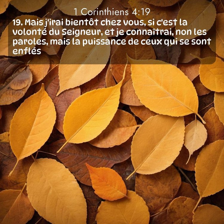 Segond 1 Corinthiens 4:19