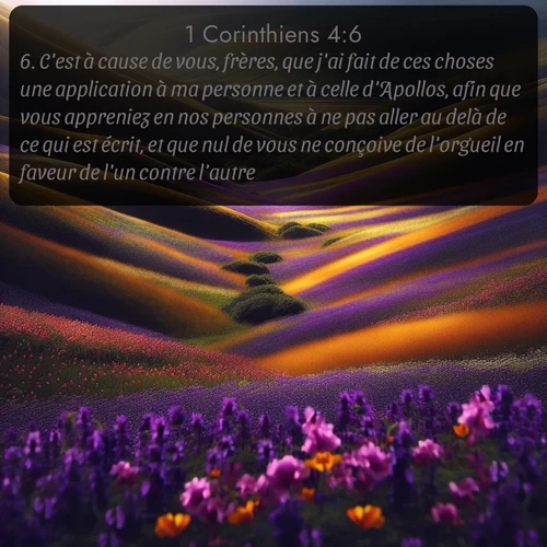 Segond 1 Corinthiens  ; image nature: image avec le verset biblique :C&#039;est à cause de vous, frères, que j&#039;ai fait de ces choses une application à ma personne et à celle d&#039;Apollos, afin que vous appreniez en nos personnes à ne pas aller au delà de ce qui est écrit, et que nul de vous ne conçoive de l&#039;orgueil en faveur de l&#039;un contre l&#039;autre. ;  ; 4:6