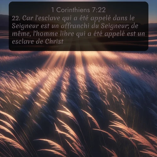 Segond 1 Corinthiens  ; image nature: image avec le verset biblique :Car l&#039;esclave qui a été appelé dans le Seigneur est un affranchi du Seigneur; de même, l&#039;homme libre qui a été appelé est un esclave de Christ. ;  ; 7:22