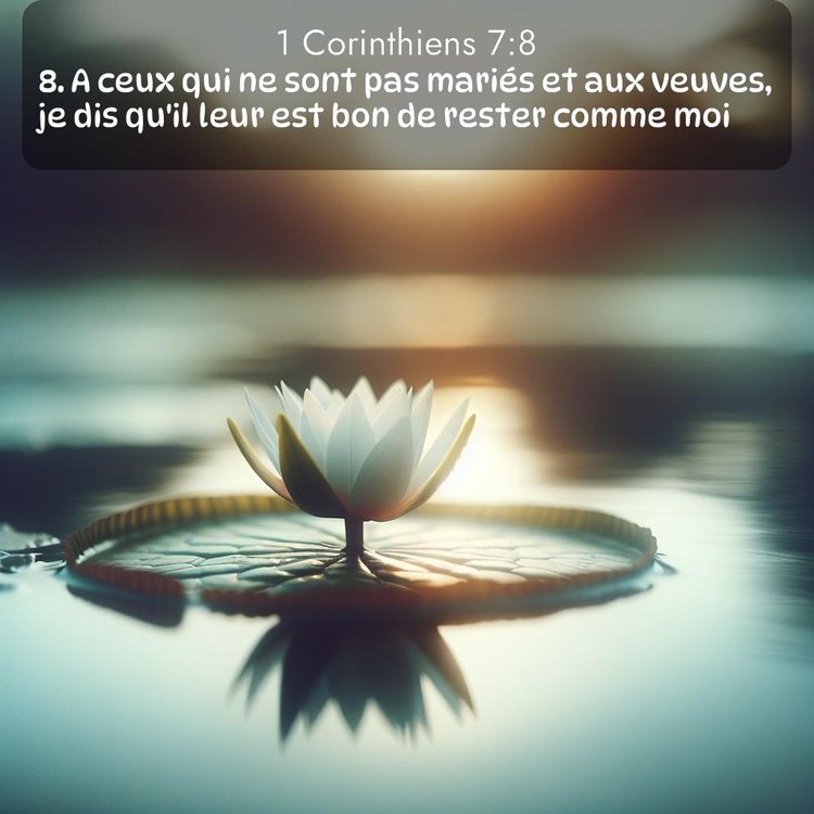 Segond 1 Corinthiens 7:8