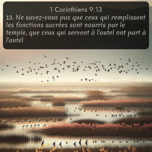 Segond 1 Corinthiens  ; image nature: image avec le verset biblique :Ne savez-vous pas que ceux qui remplissent les fonctions sacrées sont nourris par le temple, que ceux qui servent à l&#039;autel ont part à l&#039;autel? ;  ; 9:13
