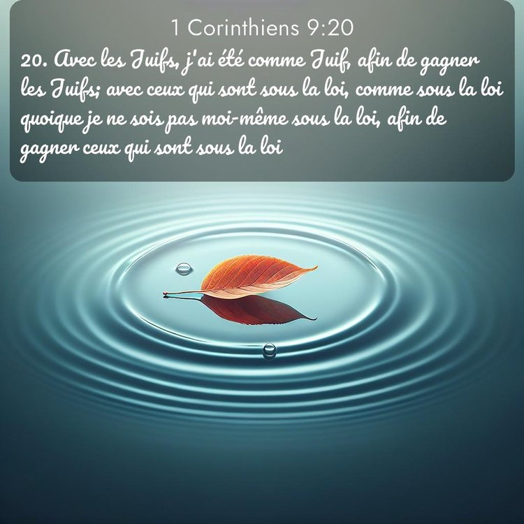 Segond 1 Corinthiens 9:20