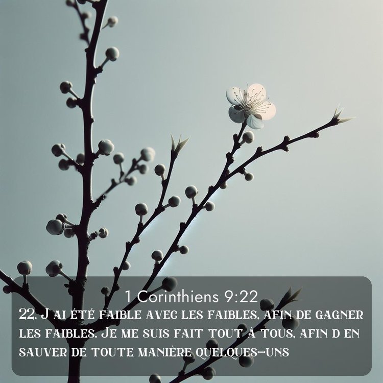 Segond 1 Corinthiens 9:22