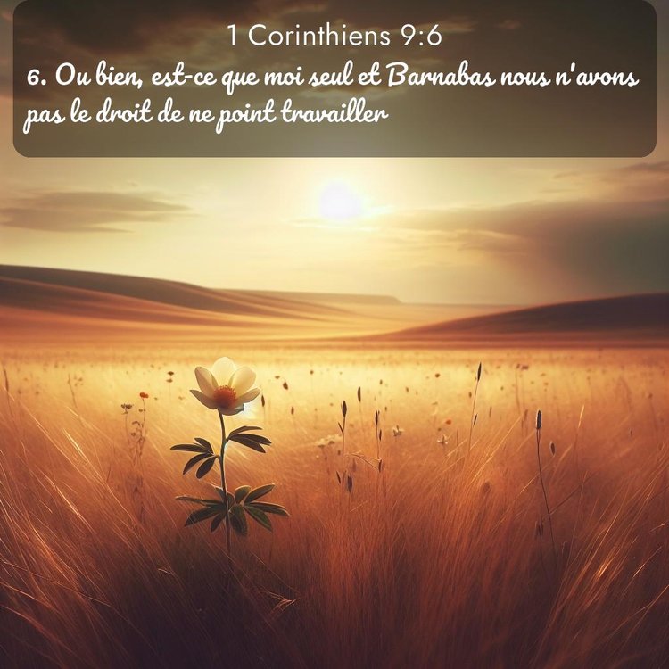 Segond 1 Corinthiens 9:6