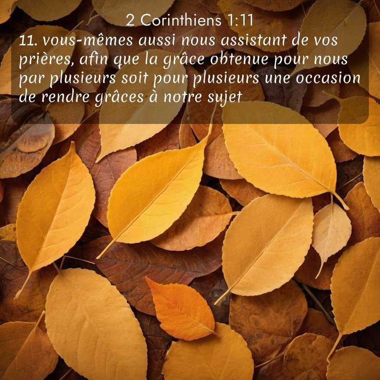 Segond 2 Corinthiens 1:11