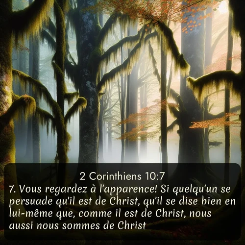 Segond 2 Corinthiens  ; image nature: image avec le verset biblique :Vous regardez à l&#039;apparence! Si quelqu&#039;un se persuade qu&#039;il est de Christ, qu&#039;il se dise bien en lui-même que, comme il est de Christ, nous aussi nous sommes de Christ. ;  ; 10:7