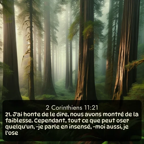 Segond 2 Corinthiens  ; image nature: image avec le verset biblique :J&#039;ai honte de le dire, nous avons montré de la faiblesse. Cependant, tout ce que peut oser quelqu&#039;un, -je parle en insensé, -moi aussi, je l&#039;ose! ;  ; 11:21